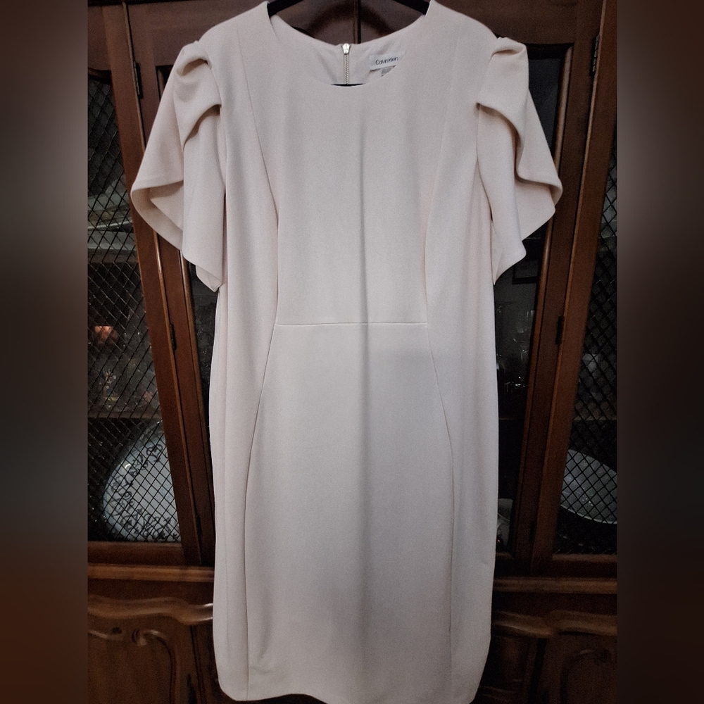 Calvin Klein Soft Blush Tulip Shory Sleeve Dress NWT